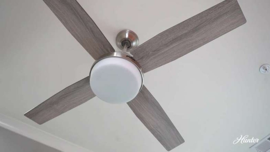 Ceiling Lighting * | Wholesale Hunter Fan Company 44 Dempsey Low Profile Ceiling Fan With Light + Remote, Br