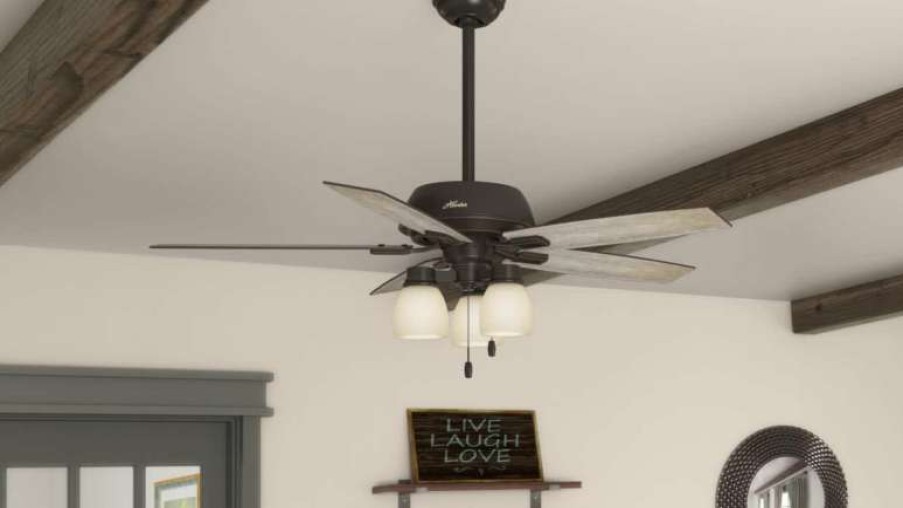 Ceiling Lighting * | Best Sale Hunter Fan Company 52 Donegan With 3 Lights Onyx Bengal Ceiling Fan With Light