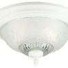 Ceiling Lighting * | Best Pirce Westinghouse 2-Light Flush Mount Floral & Leaf Glass Ceiling Fixture