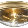 Ceiling Lighting * | New Millennium Lighting Inc Millennium Lighting Flushmount, Heirloom Bronze, Clear Seeded